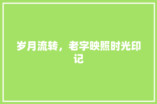 岁月流转，老字映照时光印记