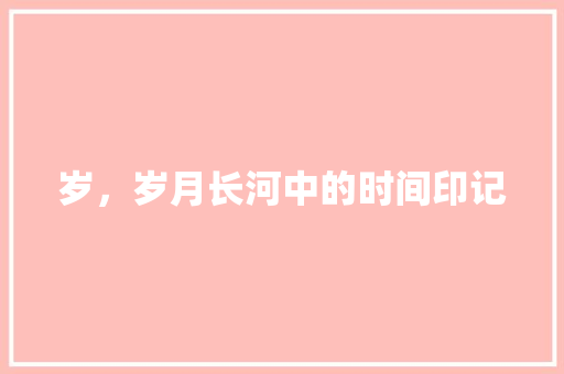 岁，岁月长河中的时间印记
