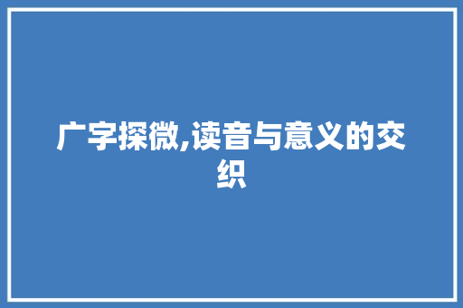 广字探微,读音与意义的交织