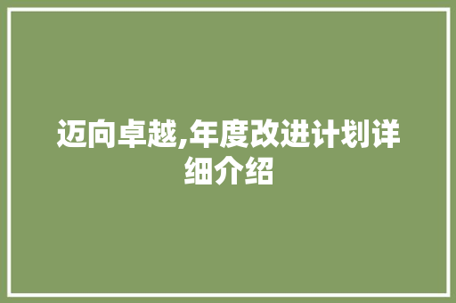 迈向卓越,年度改进计划详细介绍