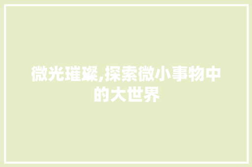 微光璀璨,探索微小事物中的大世界