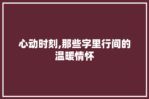 心动时刻,那些字里行间的温暖情怀