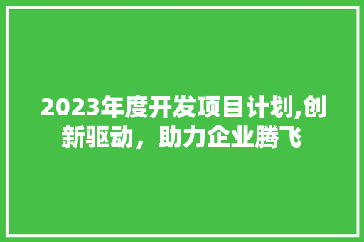 2023年度开发项目计划,创新驱动，助力企业腾飞