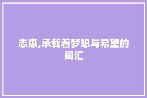 志惠,承载着梦想与希望的词汇
