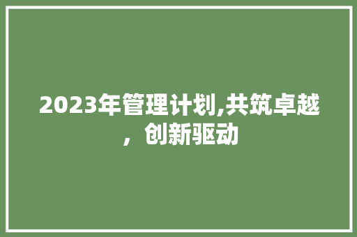 2023年管理计划,共筑卓越，创新驱动