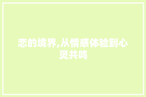 恋的境界,从情感体验到心灵共鸣