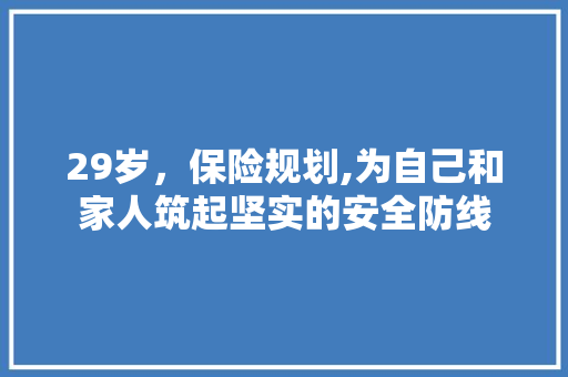 29岁，保险规划,为自己和家人筑起坚实的安全防线