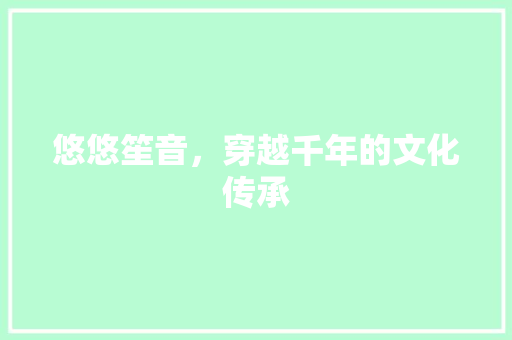 悠悠笙音，穿越千年的文化传承