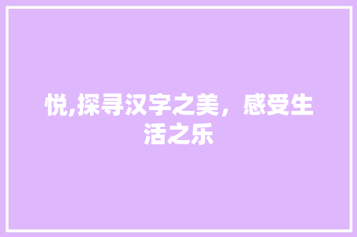 悦,探寻汉字之美，感受生活之乐