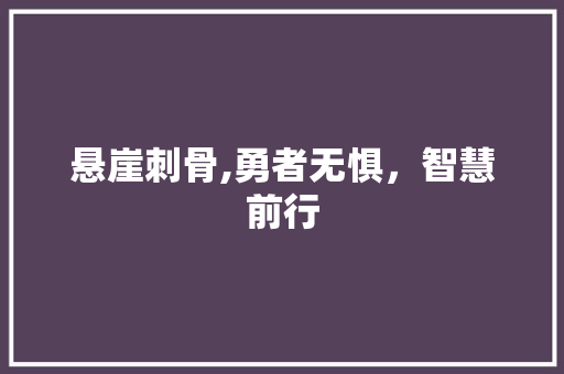 悬崖刺骨,勇者无惧，智慧前行