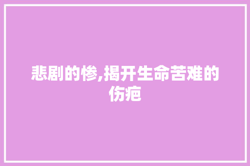 悲剧的惨,揭开生命苦难的伤疤