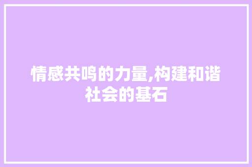 情感共鸣的力量,构建和谐社会的基石