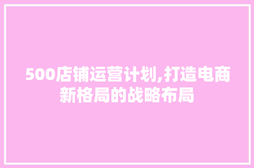 500店铺运营计划,打造电商新格局的战略布局