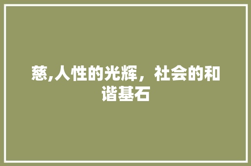 慈,人性的光辉，社会的和谐基石