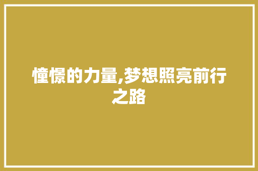 憧憬的力量,梦想照亮前行之路