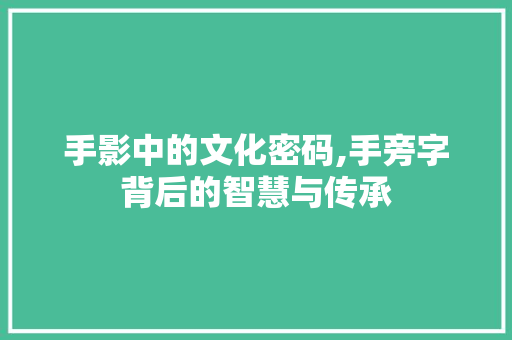 手影中的文化密码,手旁字背后的智慧与传承