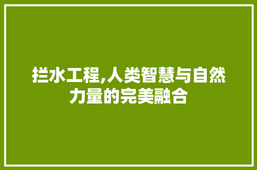 拦水工程,人类智慧与自然力量的完美融合