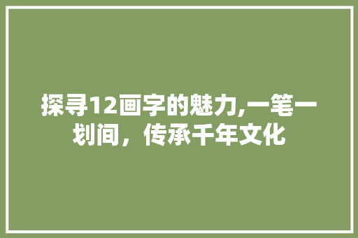 探寻12画字的魅力,一笔一划间，传承千年文化