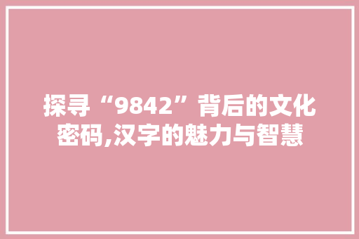 探寻“9842”背后的文化密码,汉字的魅力与智慧