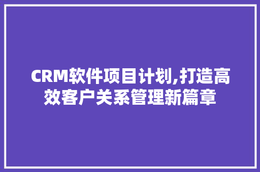 CRM软件项目计划,打造高效客户关系管理新篇章