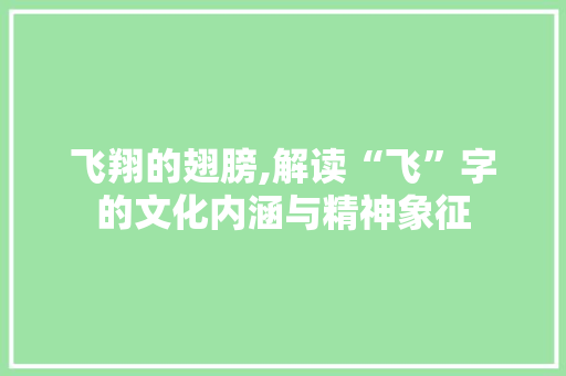 飞翔的翅膀,解读“飞”字的文化内涵与精神象征