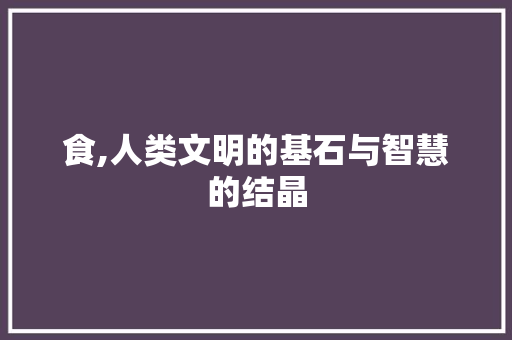 食,人类文明的基石与智慧的结晶