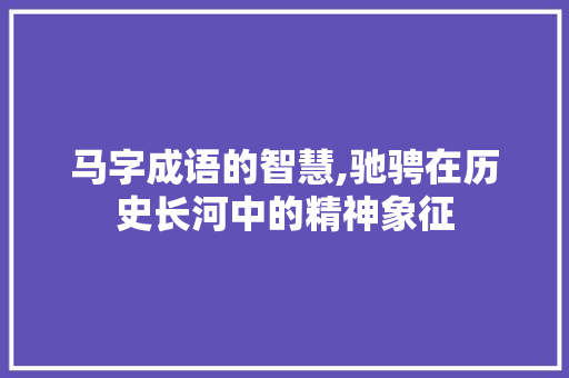 马字成语的智慧,驰骋在历史长河中的精神象征
