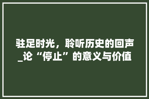 驻足时光，聆听历史的回声_论“停止”的意义与价值 英语单词