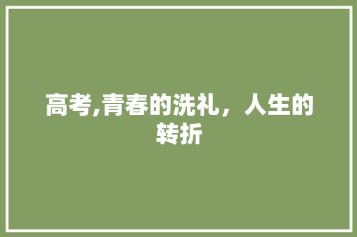 高考,青春的洗礼，人生的转折