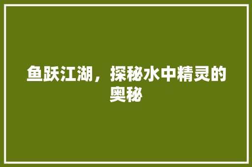 鱼跃江湖，探秘水中精灵的奥秘