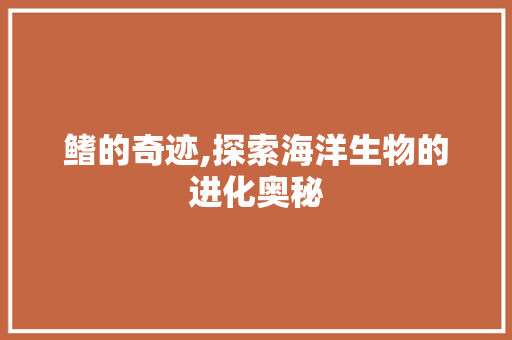 鳍的奇迹,探索海洋生物的进化奥秘
