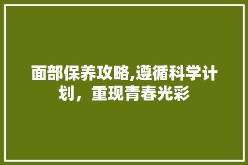 面部保养攻略,遵循科学计划，重现青春光彩