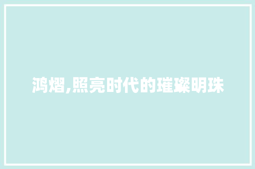 鸿熠,照亮时代的璀璨明珠