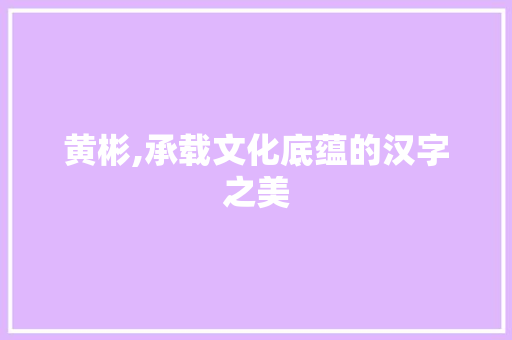 黄彬,承载文化底蕴的汉字之美