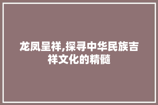 龙凤呈祥,探寻中华民族吉祥文化的精髓