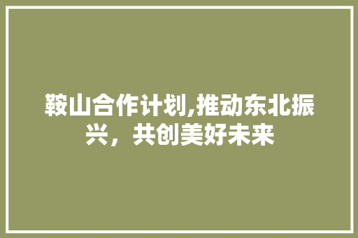 鞍山合作计划,推动东北振兴，共创美好未来
