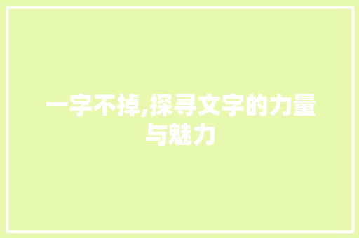 一字不掉,探寻文字的力量与魅力
