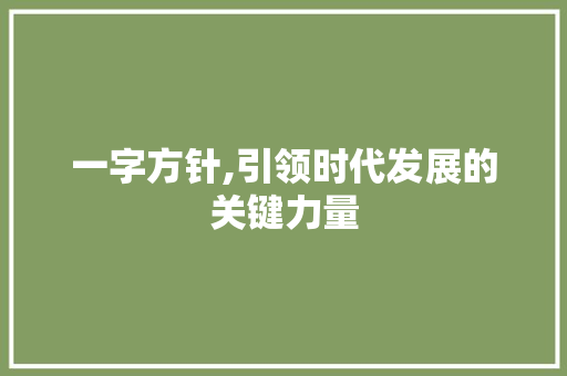 一字方针,引领时代发展的关键力量