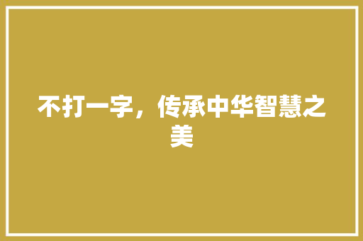 不打一字，传承中华智慧之美