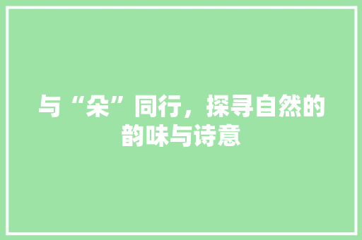 与“朵”同行，探寻自然的韵味与诗意