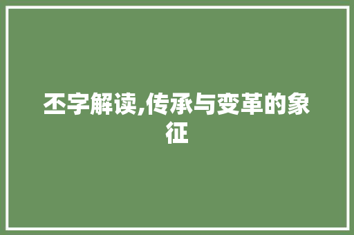 丕字解读,传承与变革的象征