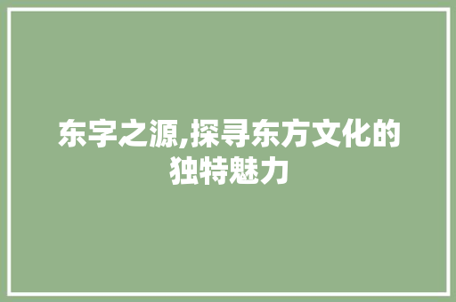 东字之源,探寻东方文化的独特魅力