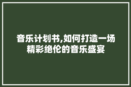 音乐计划书,如何打造一场精彩绝伦的音乐盛宴