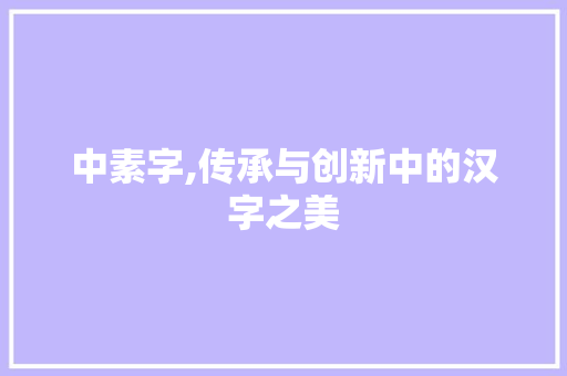中素字,传承与创新中的汉字之美