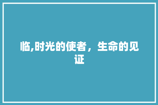 临,时光的使者，生命的见证