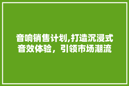 音响销售计划,打造沉浸式音效体验，引领市场潮流