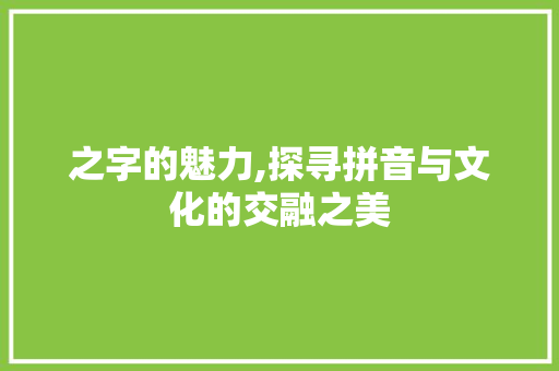 之字的魅力,探寻拼音与文化的交融之美