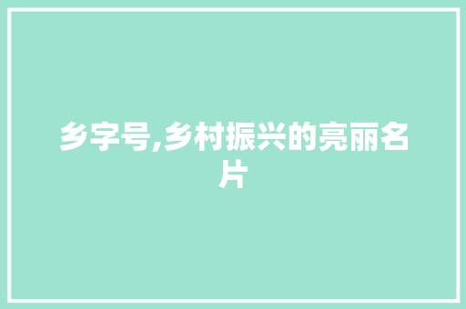 乡字号,乡村振兴的亮丽名片