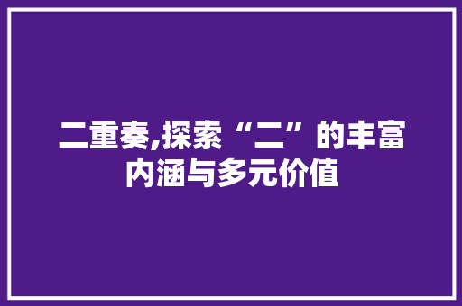 二重奏,探索“二”的丰富内涵与多元价值