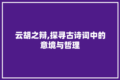 云胡之辩,探寻古诗词中的意境与哲理